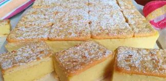 Tort Rapid 'Napoleon' Fără Coacere - O delicatese din biscuiti si budinca de vanilie