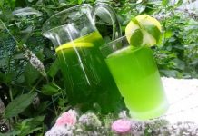 Sirop de Menta – Rețetă Răcoritoare și Ușor de Preparat