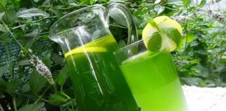 Sirop de Menta – Rețetă Răcoritoare și Ușor de Preparat