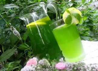 Sirop de Menta – Rețetă Răcoritoare și Ușor de Preparat