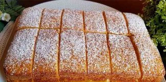 Deliciu cu Suc de Portocale - Rețetă răcoritoare și ușor de preparat, o alegere sănătoasă pentru o gustare zilnică