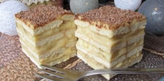 Prăjitură fără Coacere cu Blat de Biscuiți și Umplutură de Banane – Rețetă Simplă și Delicioasă