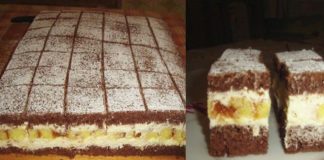 Cremșnit Iugoslav – Rețetă Tradițională de Nerefuzat