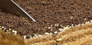 Rețeta Prăjiturii "Vlăduț" cu Nucă: Ingrediente și Preparare